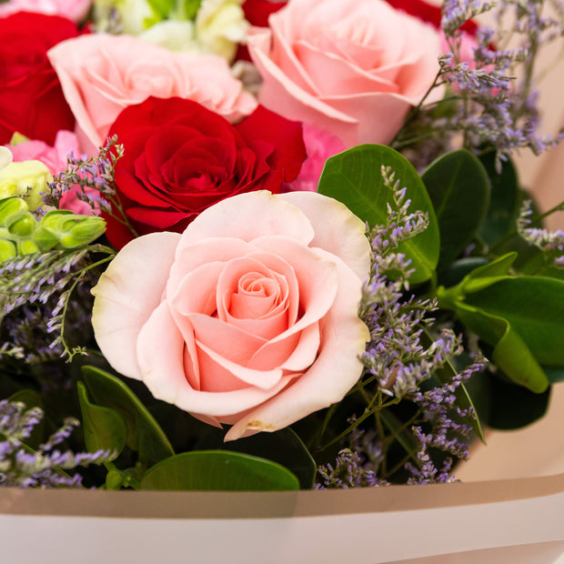 Fabianna