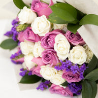 Violetta