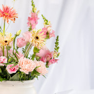 The Garden Designer´s Choice