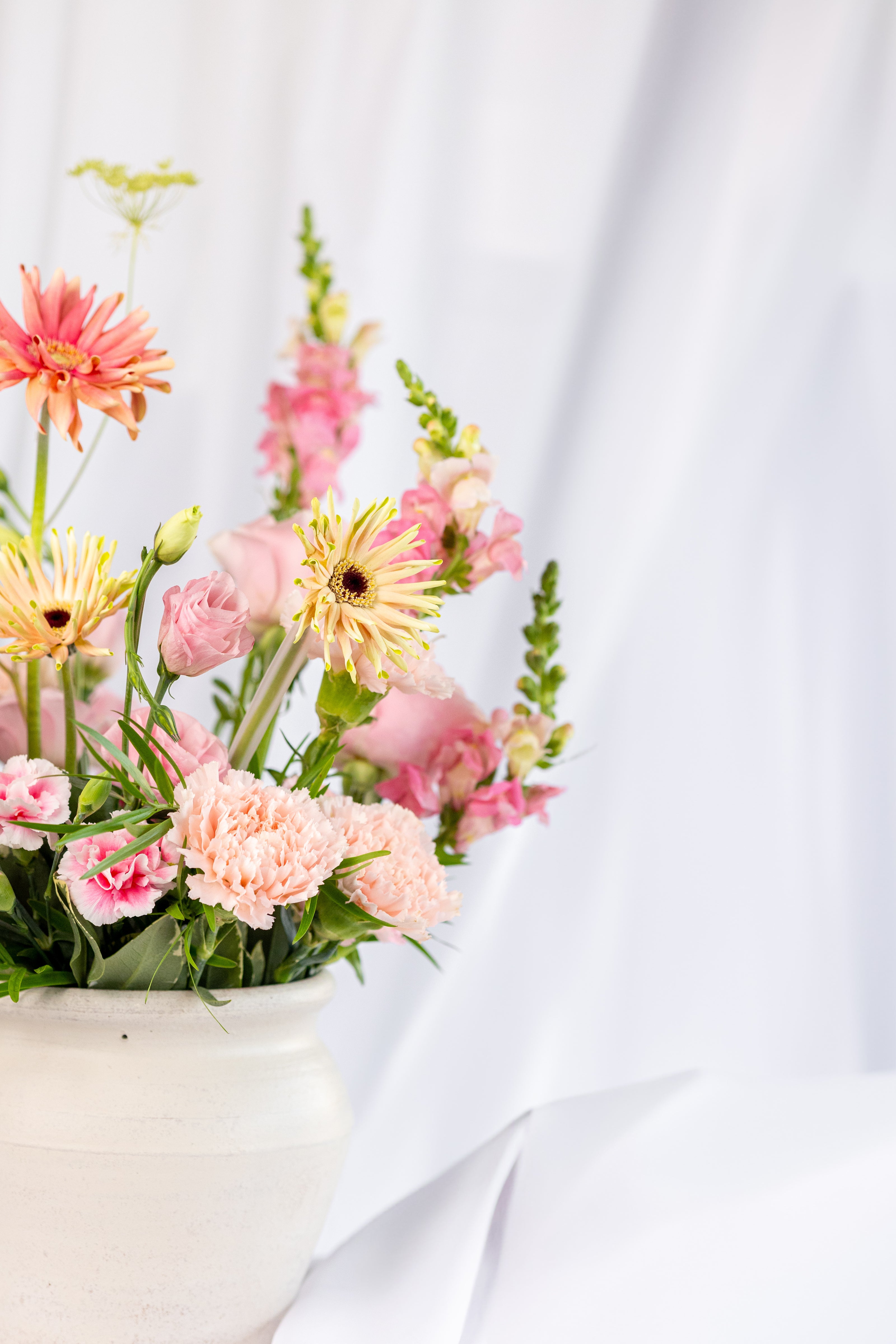 The Garden Designer´s Choice